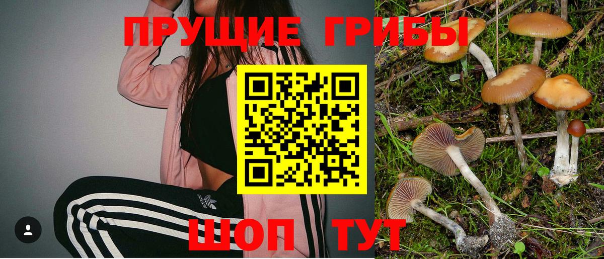Гуково  Псилоцибиновые грибы мицелий  Вход с VPN 