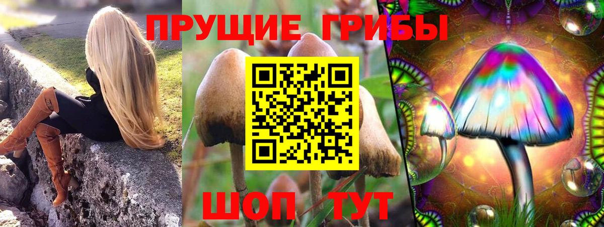Галлюциногенные грибы Magic Shrooms Гуково